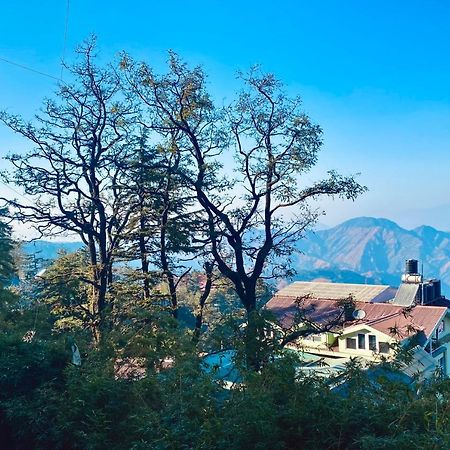 The Travelista Shimla Panzió Kültér fotó